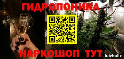 spice Пушкино